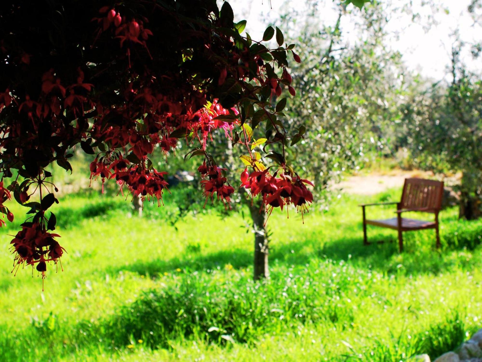 Bed and breakfast Don Federico Country